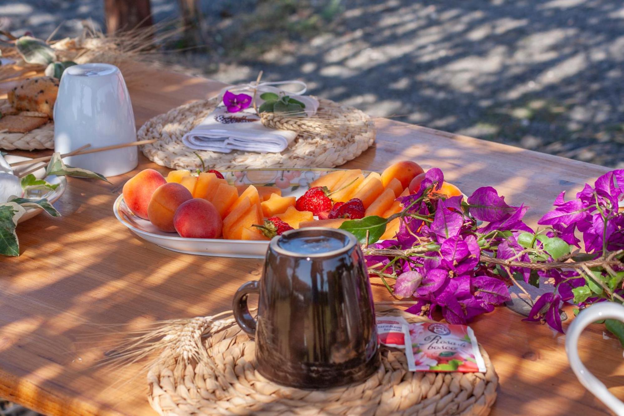 Agriturismo L'Istrice Di Gio Montalto di Castro Εξωτερικό φωτογραφία